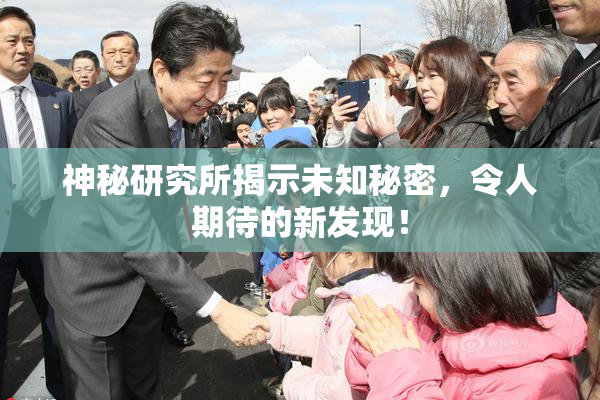 神秘研究所揭示未知秘密，令人期待的新发现！