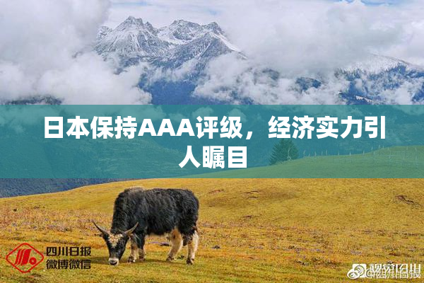 日本保持AAA评级，经济实力引人瞩目