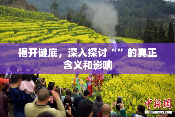 揭开谜底，深入探讨“”的真正含义和影响