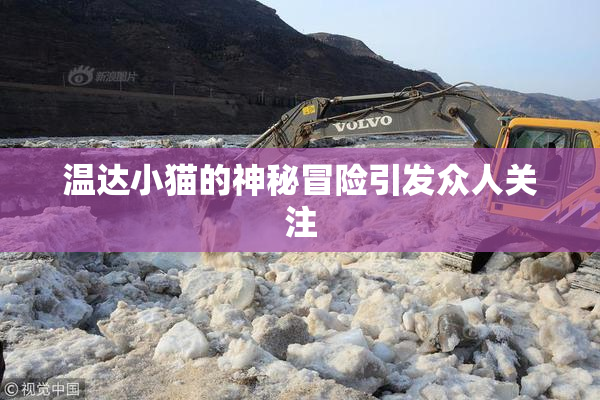 温达小猫的神秘冒险引发众人关注