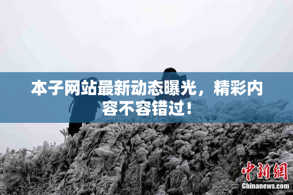本子网站最新动态曝光，精彩内容不容错过！