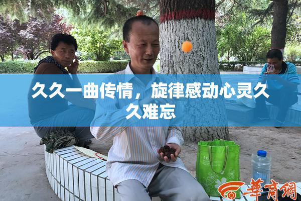 久久一曲传情，旋律感动心灵久久难忘