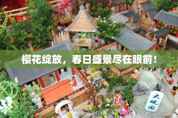 樱花绽放，春日盛景尽在眼前！