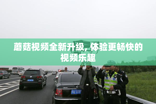 蘑菇视频全新升级, 体验更畅快的视频乐趣