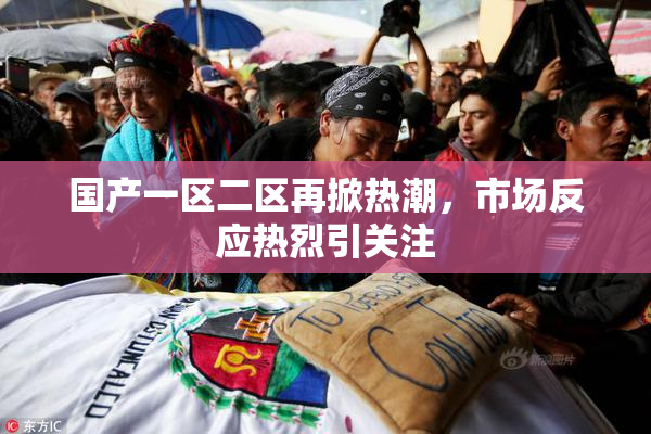 国产一区二区再掀热潮，市场反应热烈引关注