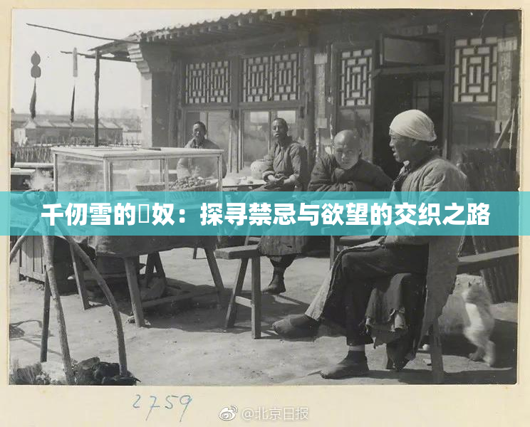 千仞雪的婬奴：探寻禁忌与欲望的交织之路