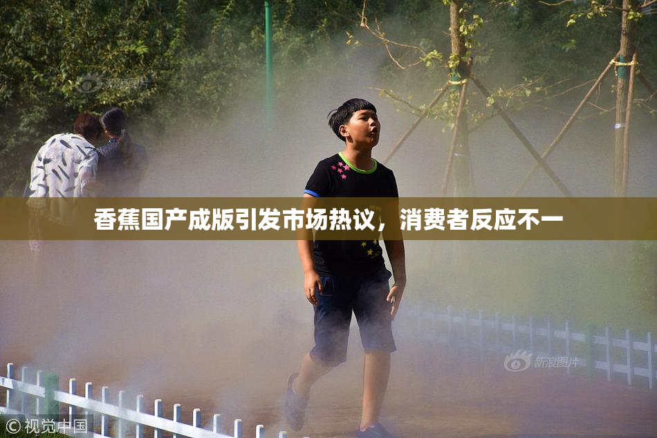 香蕉国产成版引发市场热议，消费者反应不一