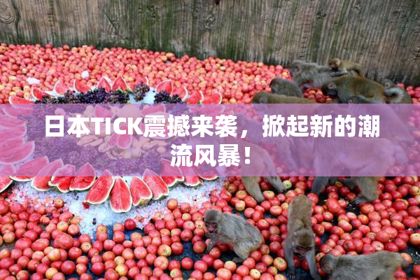 日本TICK震撼来袭，掀起新的潮流风暴！