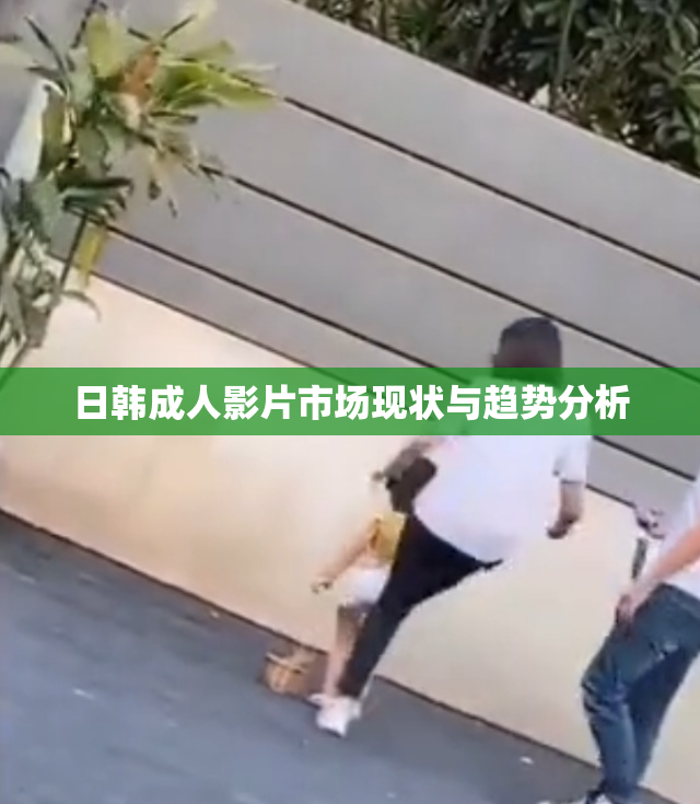 日韩成人影片市场现状与趋势分析