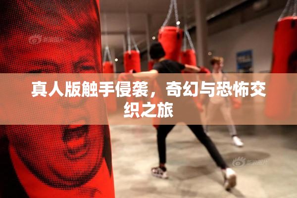 真人版触手侵袭，奇幻与恐怖交织之旅