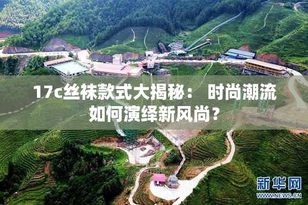 17c丝袜款式大揭秘： 时尚潮流如何演绎新风尚？