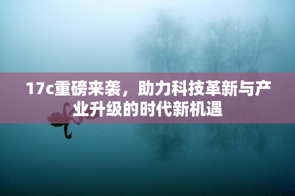 17c重磅来袭，助力科技革新与产业升级的时代新机遇