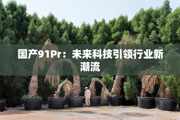 国产91Pr：未来科技引领行业新潮流