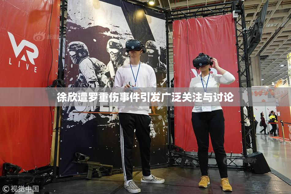 徐欣遭罗重伤事件引发广泛关注与讨论