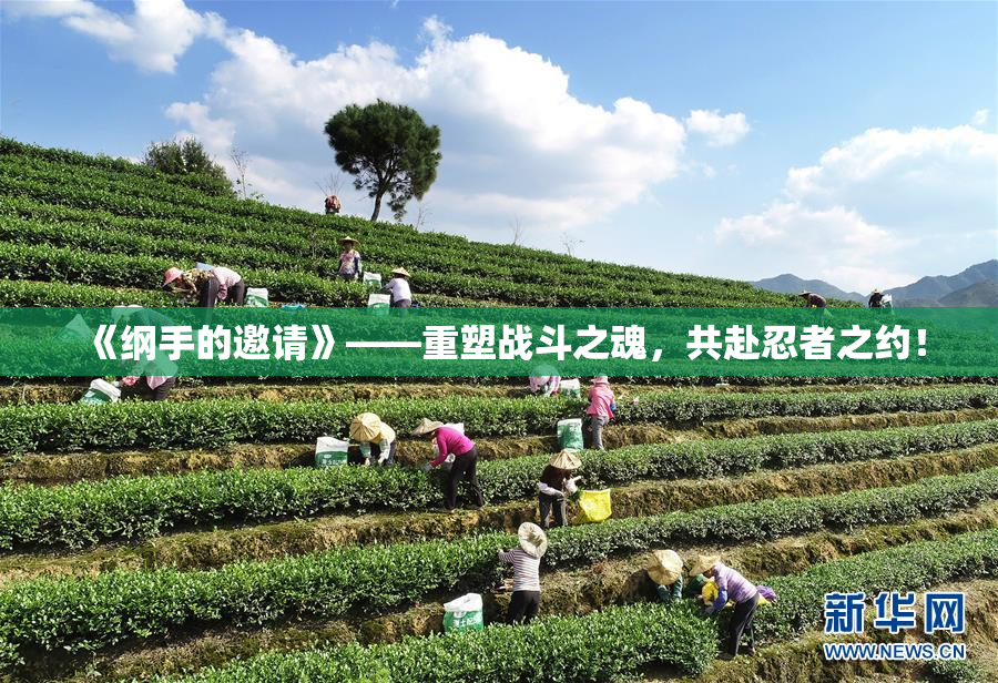 《纲手的邀请》——重塑战斗之魂，共赴忍者之约！