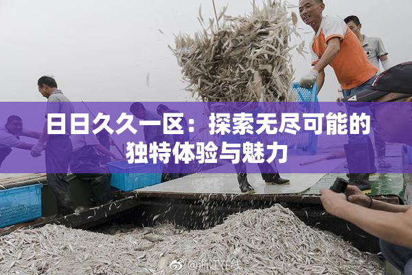 日日久久一区：探索无尽可能的独特体验与魅力