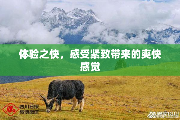体验之快，感受紧致带来的爽快感觉