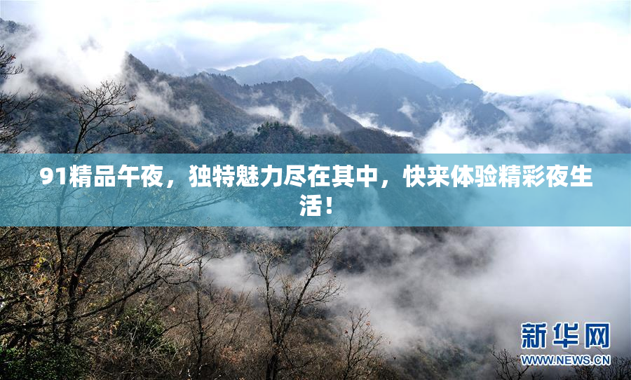 91精品午夜，独特魅力尽在其中，快来体验精彩夜生活！