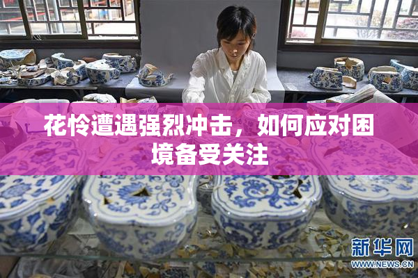花怜遭遇强烈冲击，如何应对困境备受关注