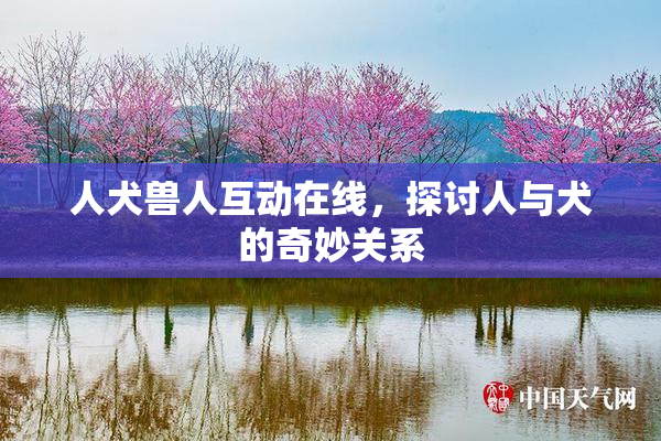 人犬兽人互动在线，探讨人与犬的奇妙关系