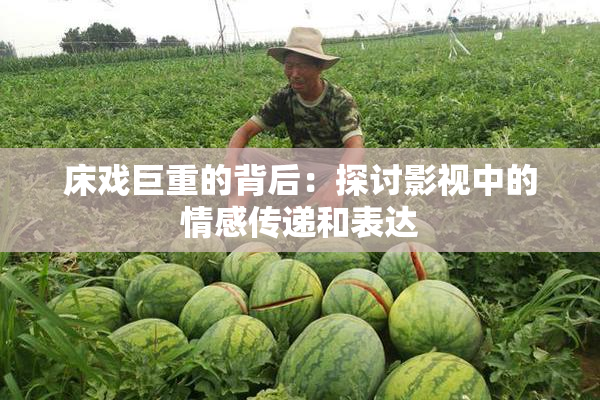 床戏巨重的背后：探讨影视中的情感传递和表达