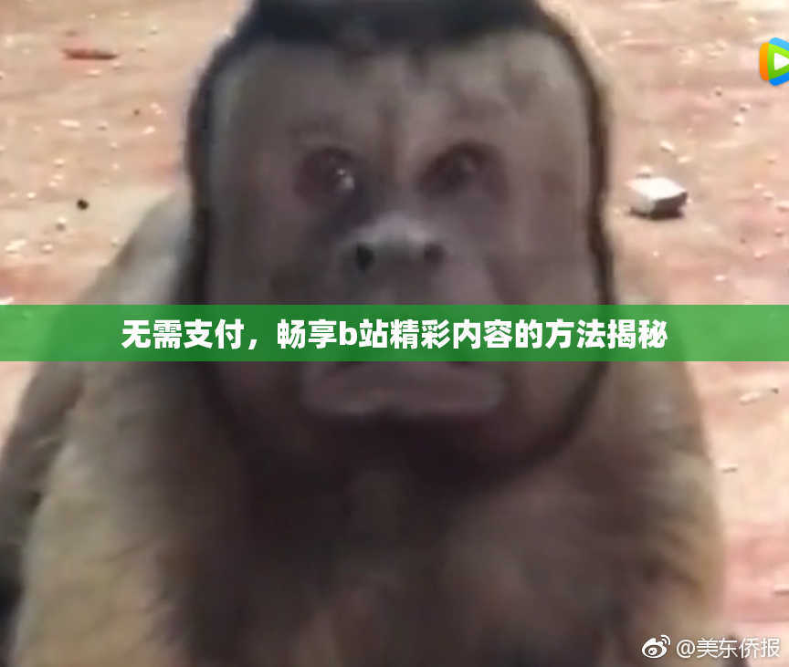 无需支付，畅享b站精彩内容的方法揭秘