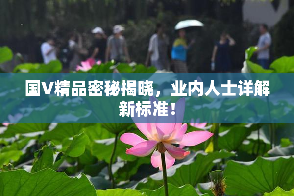 国V精品密秘揭晓，业内人士详解新标准！