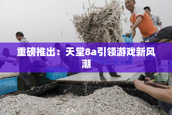 重磅推出：天堂8a引领游戏新风潮