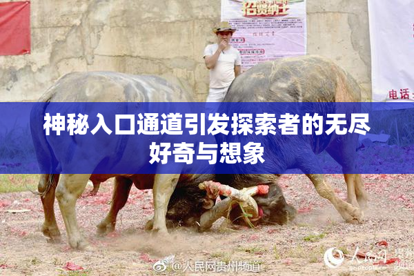 神秘入口通道引发探索者的无尽好奇与想象