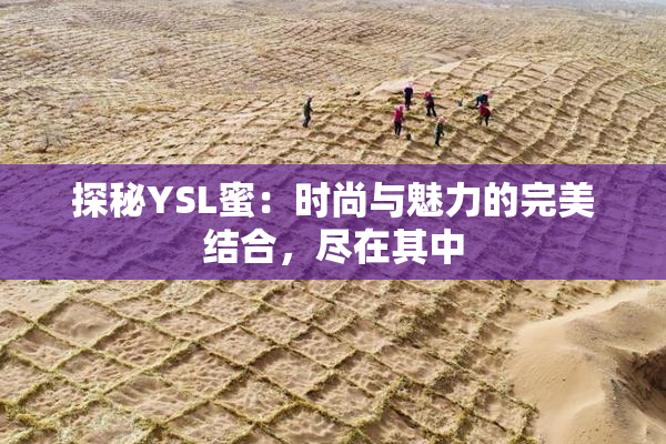 探秘YSL蜜：时尚与魅力的完美结合，尽在其中