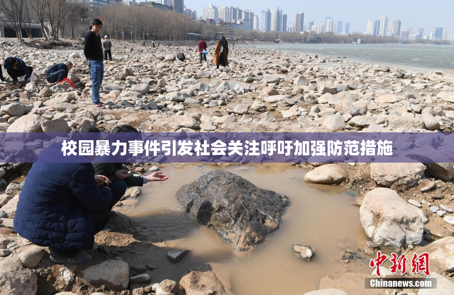 校园暴力事件引发社会关注呼吁加强防范措施