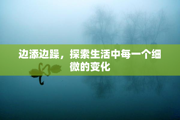 边添边躁，探索生活中每一个细微的变化