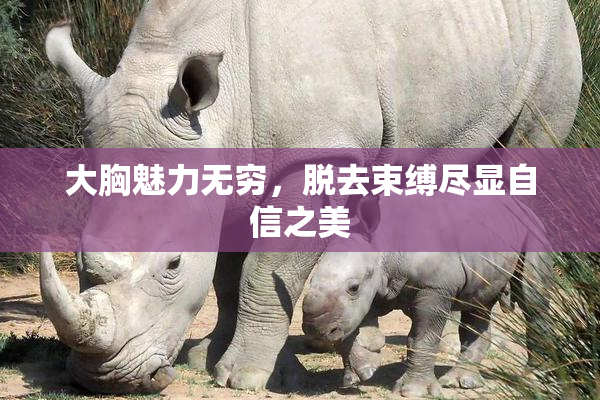 大胸魅力无穷，脱去束缚尽显自信之美