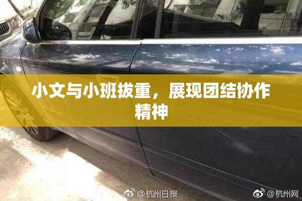 小文与小班拔重，展现团结协作精神