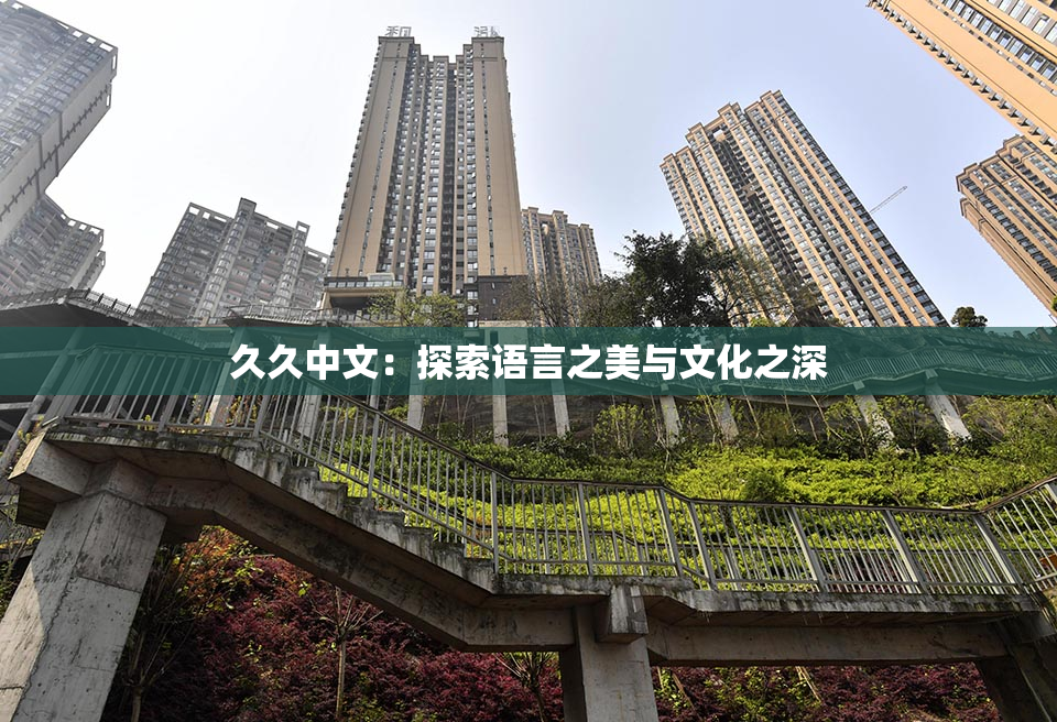 久久中文：探索语言之美与文化之深