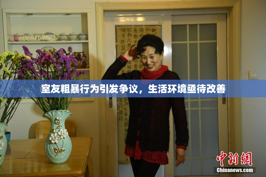室友粗暴行为引发争议，生活环境亟待改善