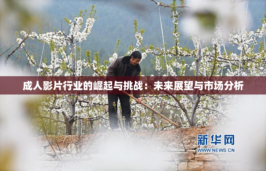 成人影片行业的崛起与挑战：未来展望与市场分析