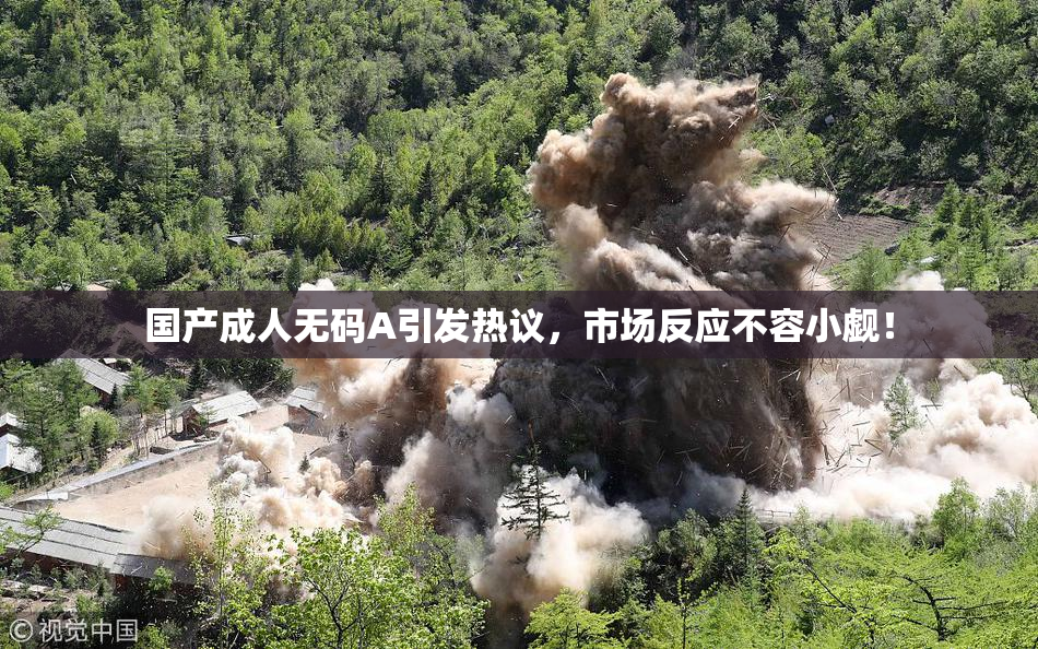 国产成人无码A引发热议，市场反应不容小觑！