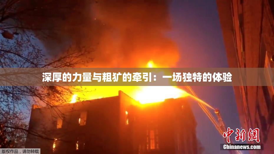 深厚的力量与粗犷的牵引：一场独特的体验