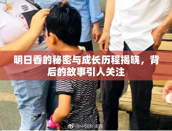 明日香的秘密与成长历程揭晓，背后的故事引人关注