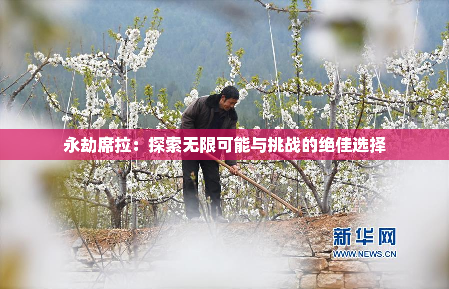 永劫席拉：探索无限可能与挑战的绝佳选择