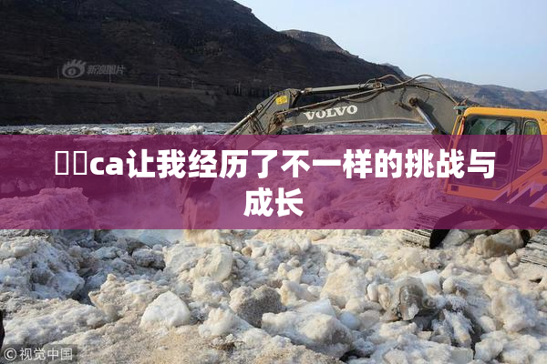 妺妺ca让我经历了不一样的挑战与成长