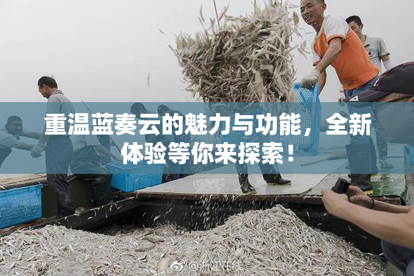 重温蓝奏云的魅力与功能，全新体验等你来探索！