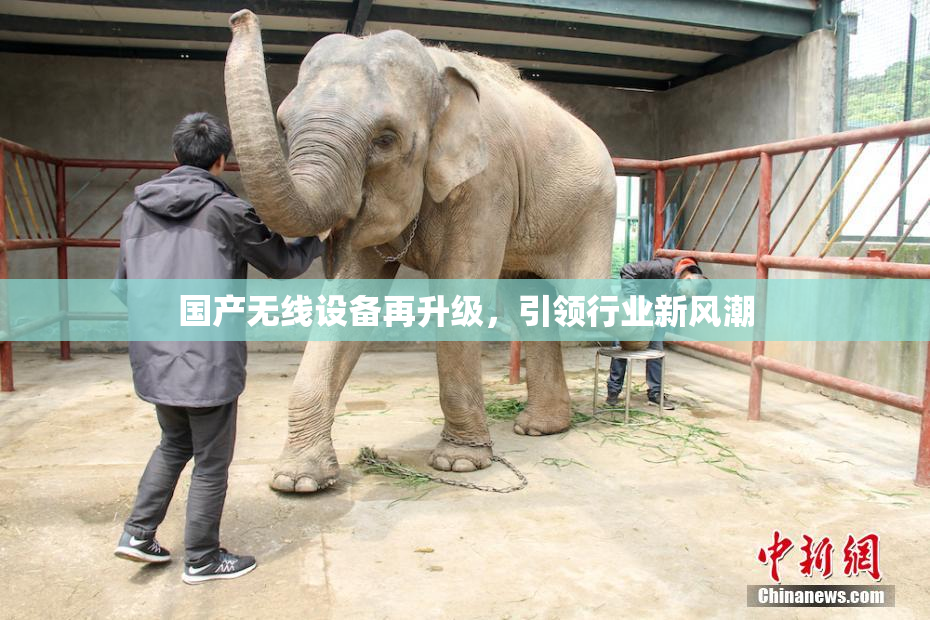 国产无线设备再升级，引领行业新风潮