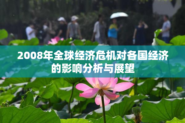 2008年全球经济危机对各国经济的影响分析与展望