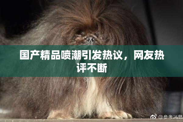国产精品喷潮引发热议，网友热评不断