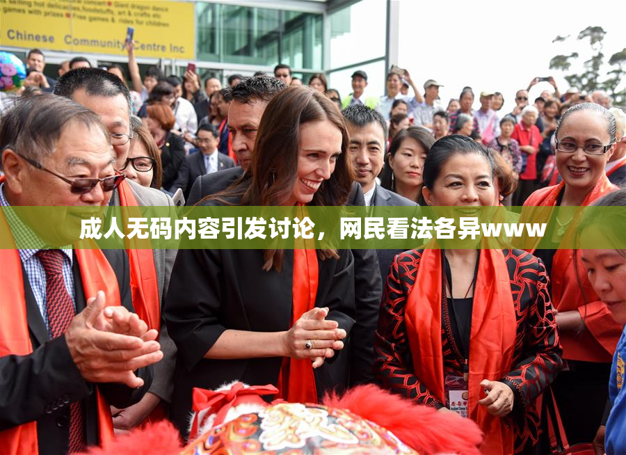 成人无码内容引发讨论，网民看法各异www