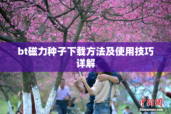 bt磁力种子下载方法及使用技巧详解