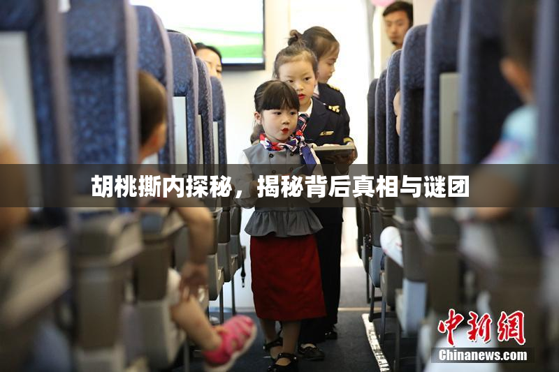 胡桃撕内探秘，揭秘背后真相与谜团