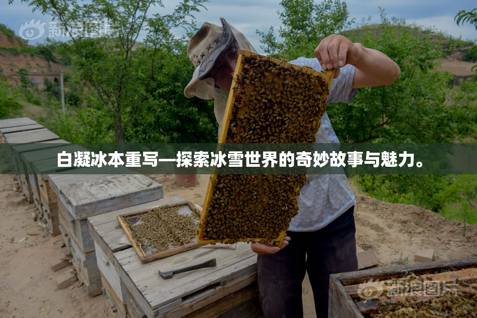 白凝冰本重写—探索冰雪世界的奇妙故事与魅力。